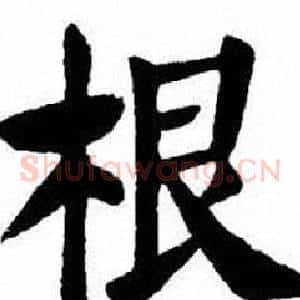 根