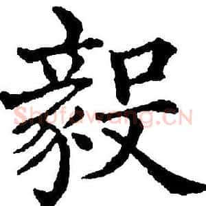 毅