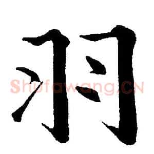 羽