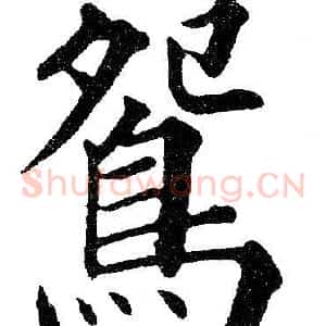 鴛