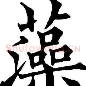 藻