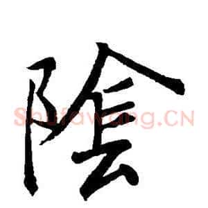 阴