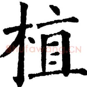 植