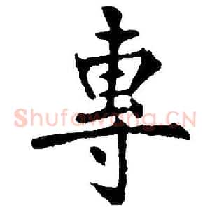 專