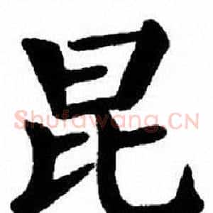 昆