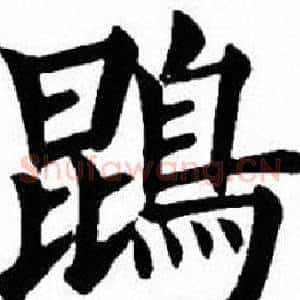 鵾