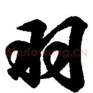 羽