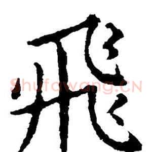 飞