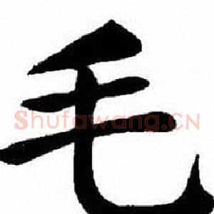 毛