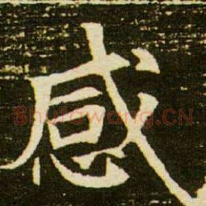 感
