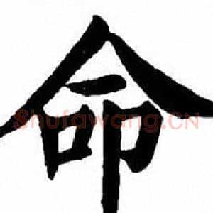 命