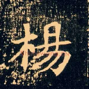 杨