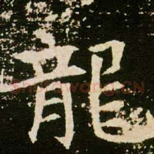 龍