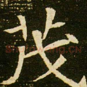 茂