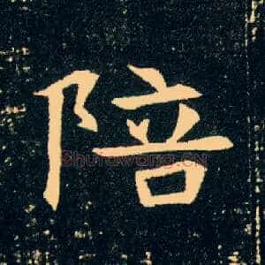 陪