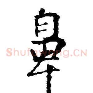 鼻