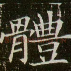 體