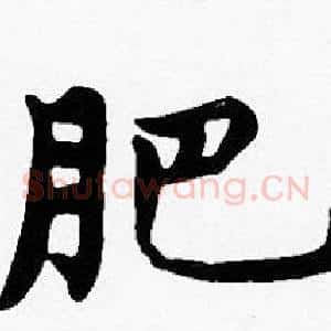 肥