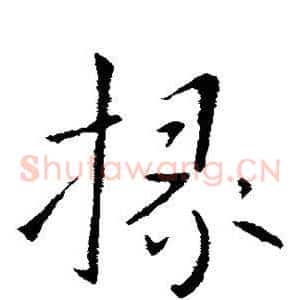 掾