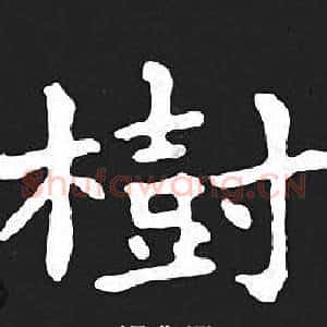 樹