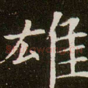雄