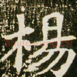 楊