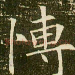愽