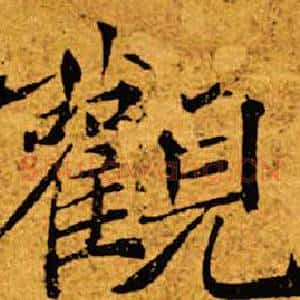 观