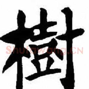 樹