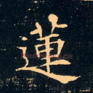 莲
