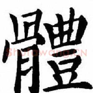 體