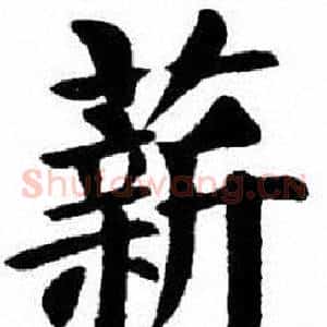 薪
