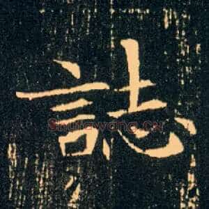 志