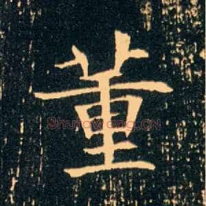 董