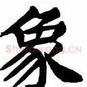 象