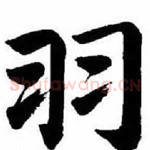 羽