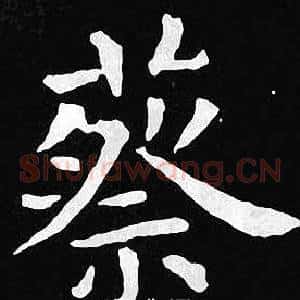 蔡