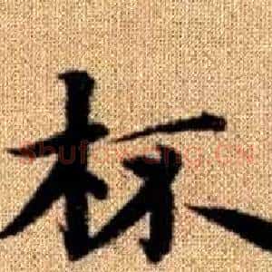 杯