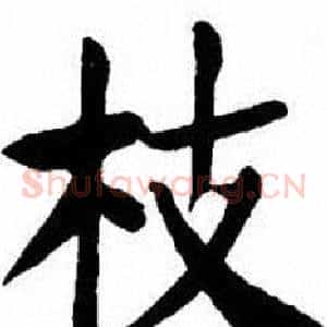 枝