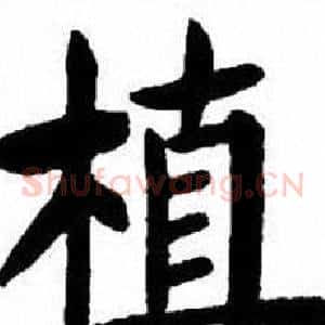 植