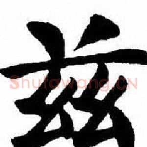兹