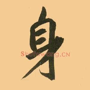 身