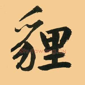 狸