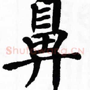 鼻