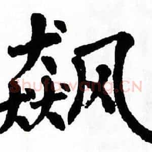 飙
