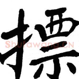 摽
