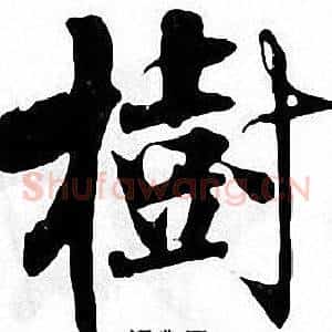 樹