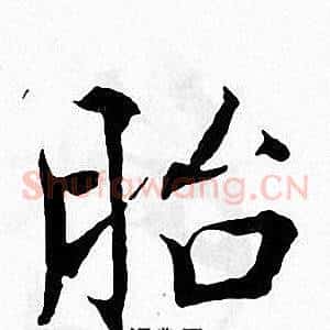 胎
