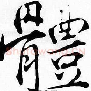 體