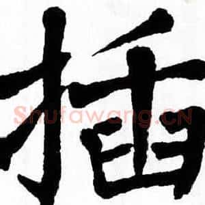 插